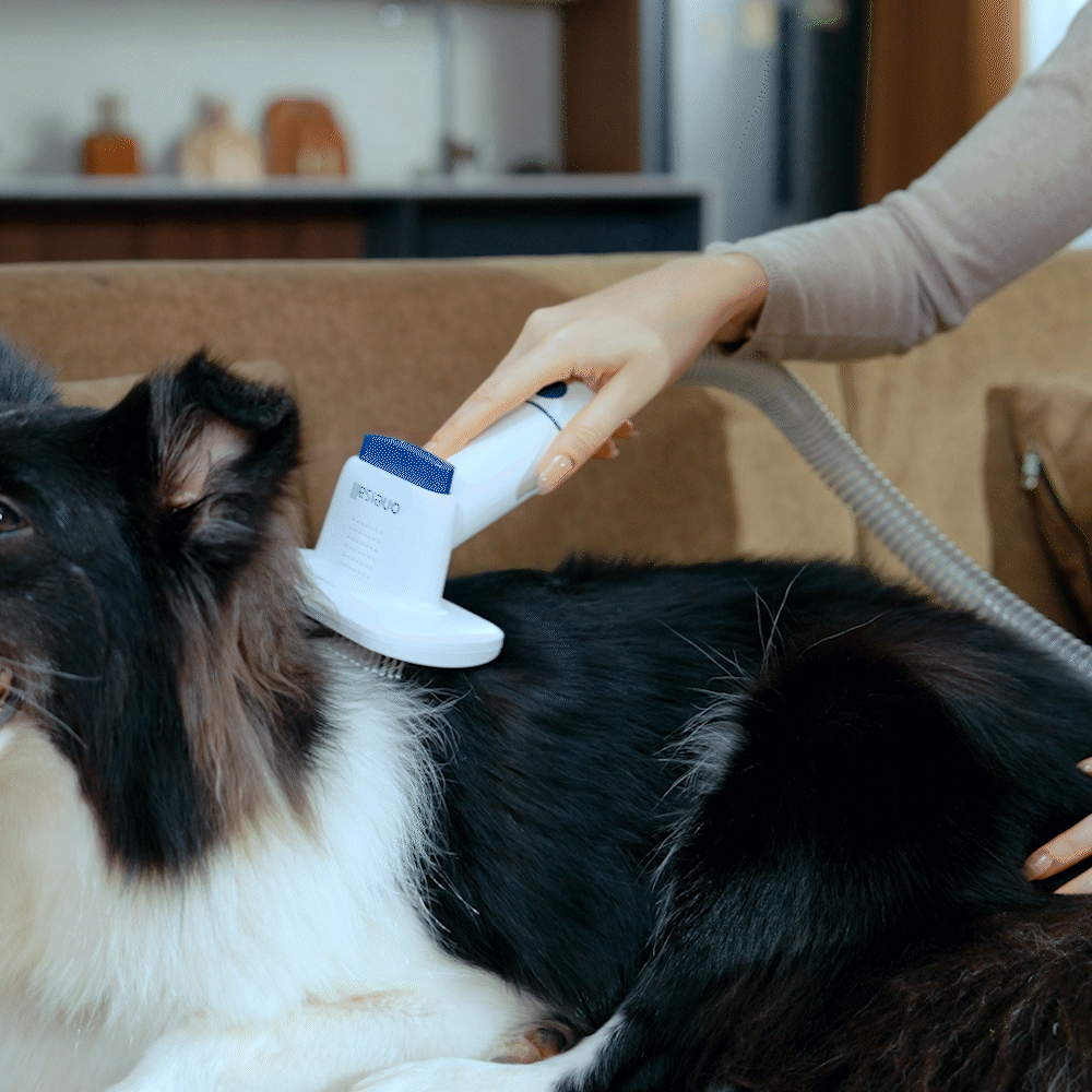 Oneisall Cozy C1/BM1 Pet Grooming Vacuum & Dryer Slicker Brush Replacement - Image 2