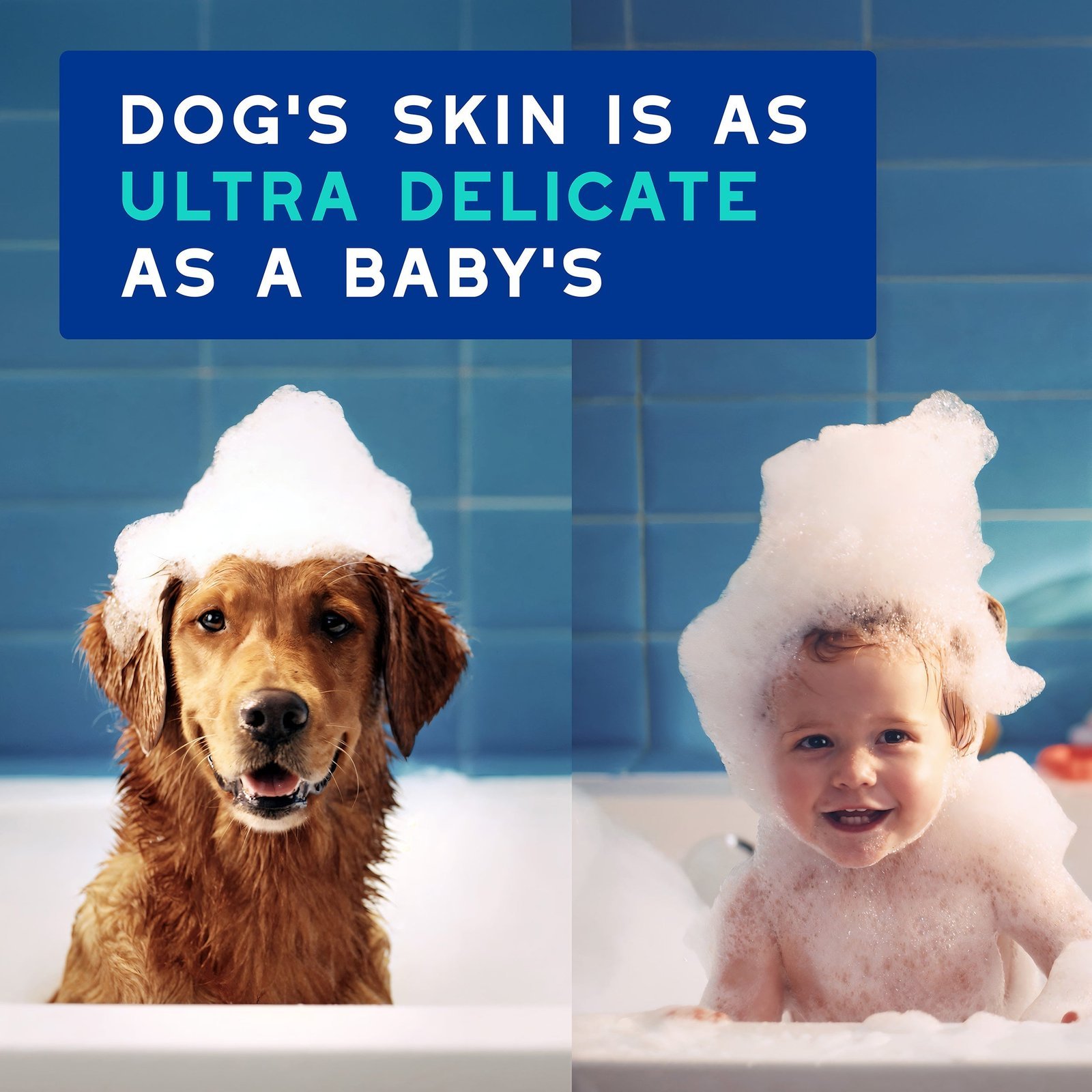 DOUXO Skin & Coat SPA Odor Control Spray & DOUXO Skin & Coat SPA Odor Control Shampoo Bundle - Image 4