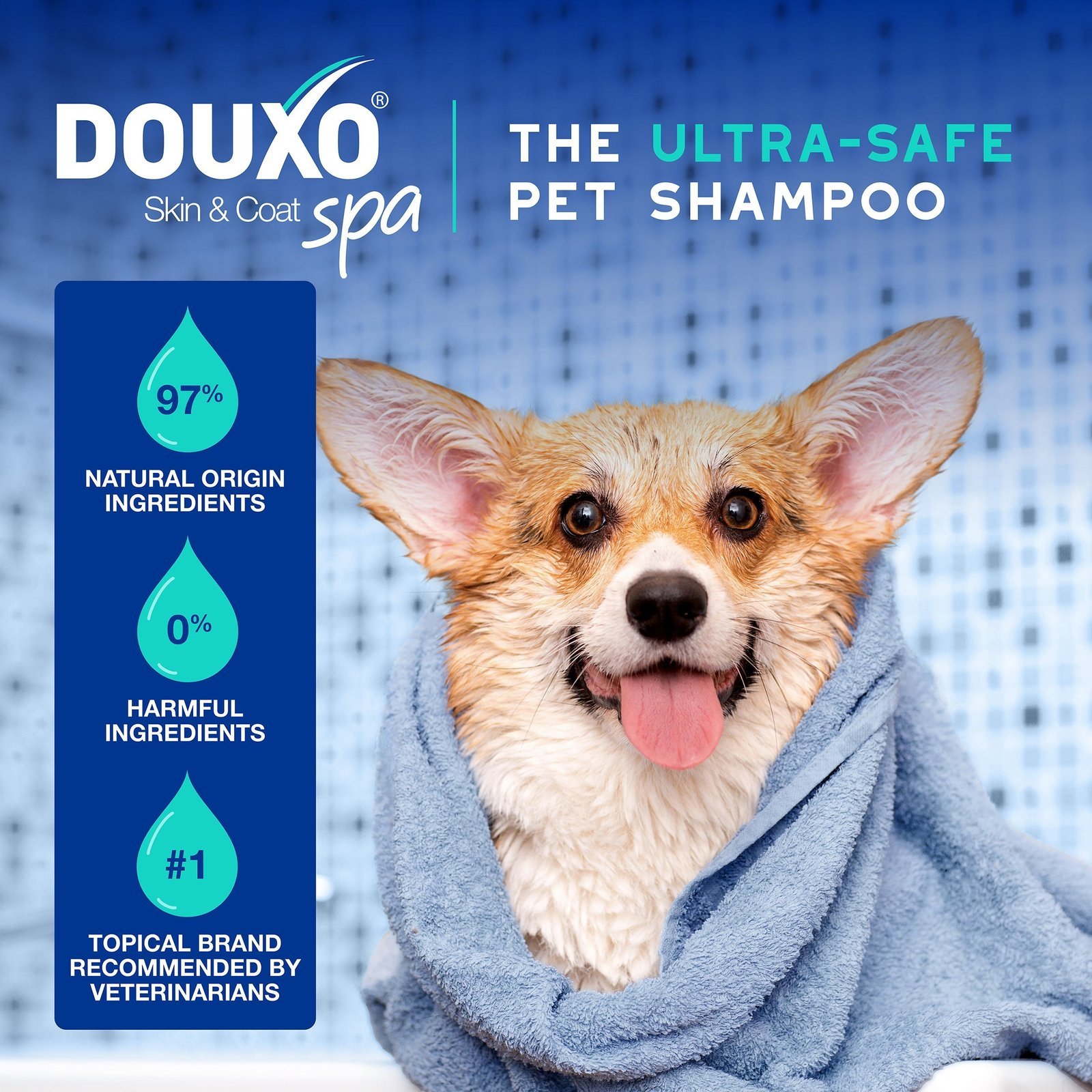 DOUXO Skin & Coat SPA Odor Control Spray & DOUXO Skin & Coat SPA Odor Control Shampoo Bundle - Image 5