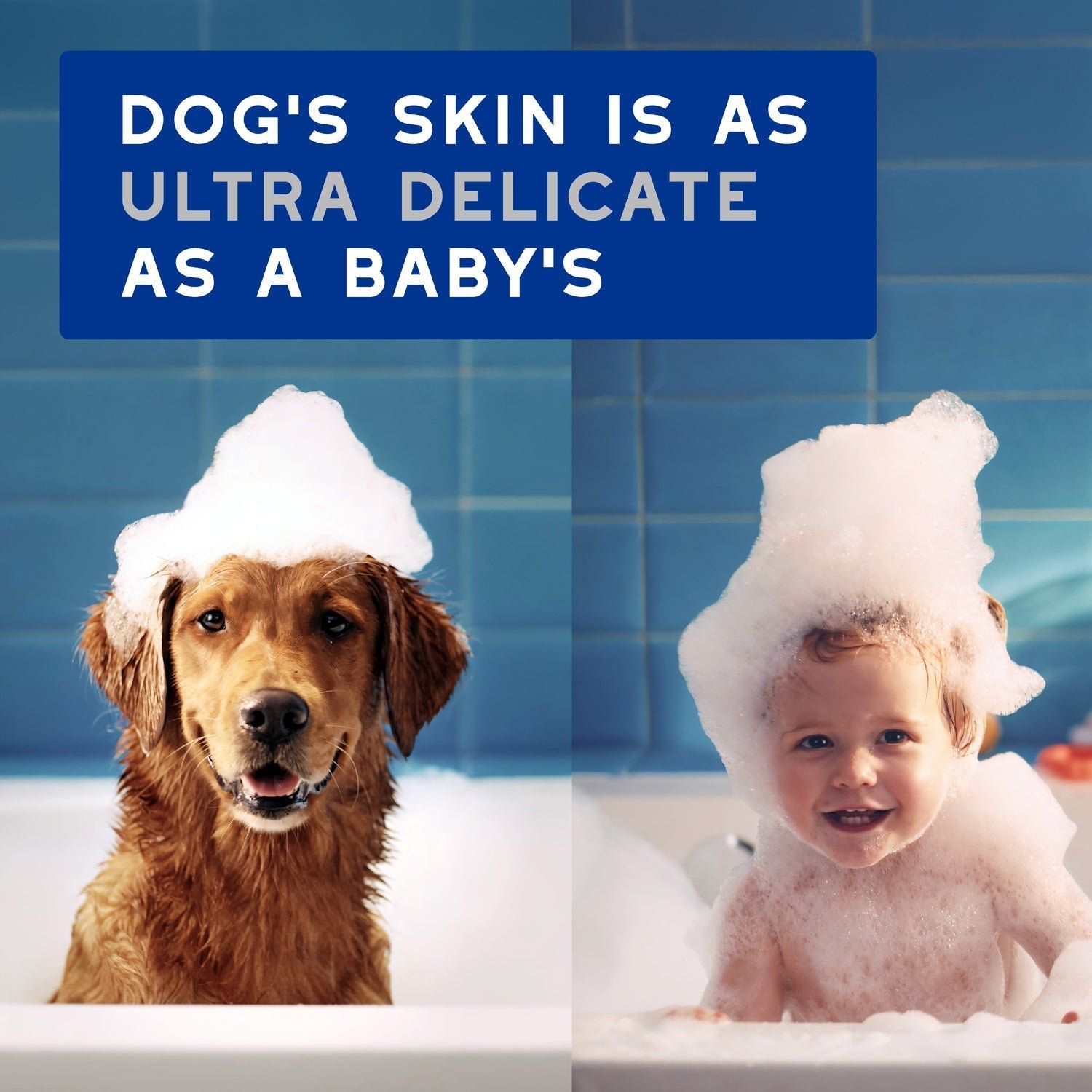 DOUXO Skin & Coat SPA Multipurpose Wipes - Image 4