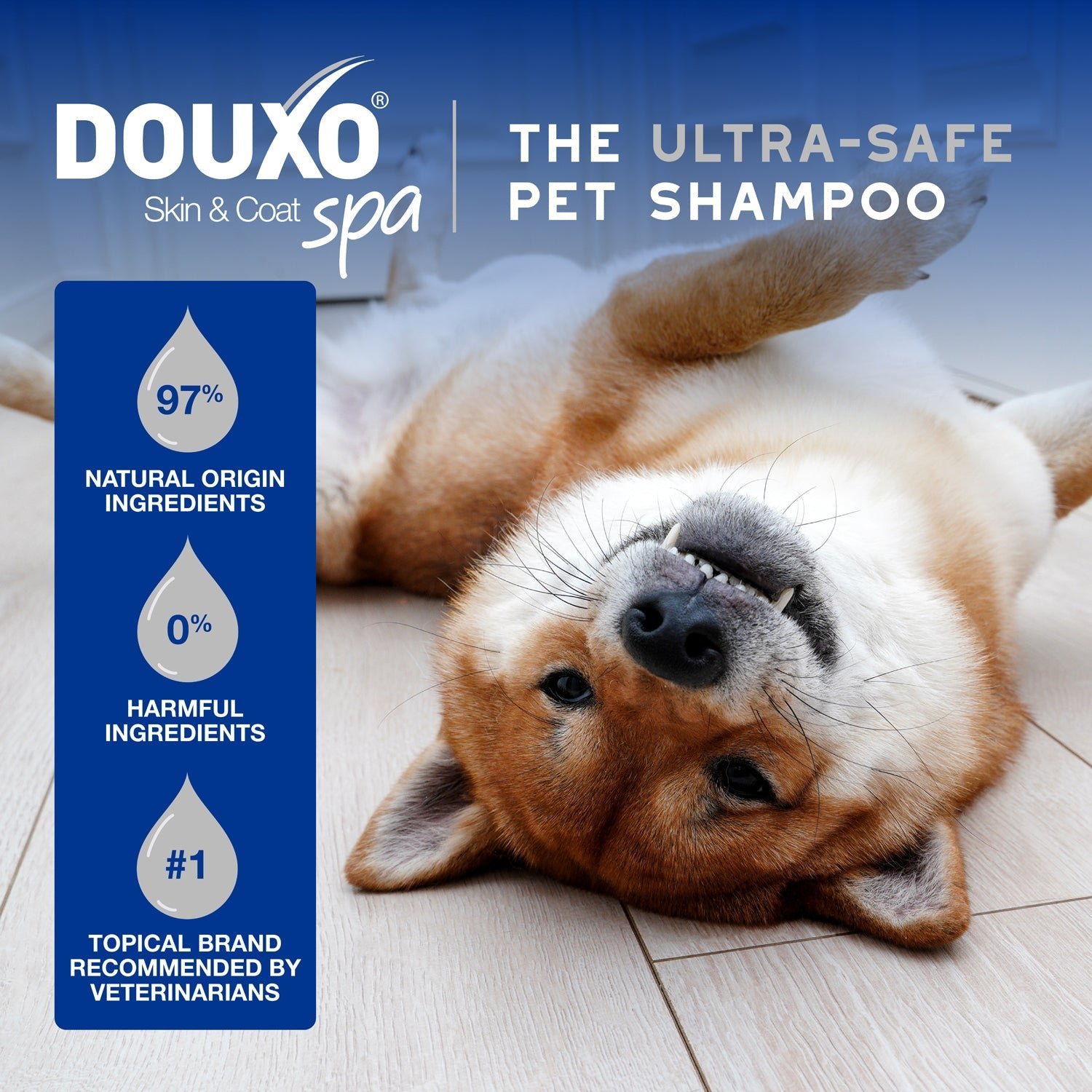 DOUXO Skin & Coat SPA Multipurpose Wipes - Image 5