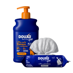 DOUXO Skin & Coat SPA 2 in 1 Conditioning Shampoo & Multipurpose Wipes Bundle