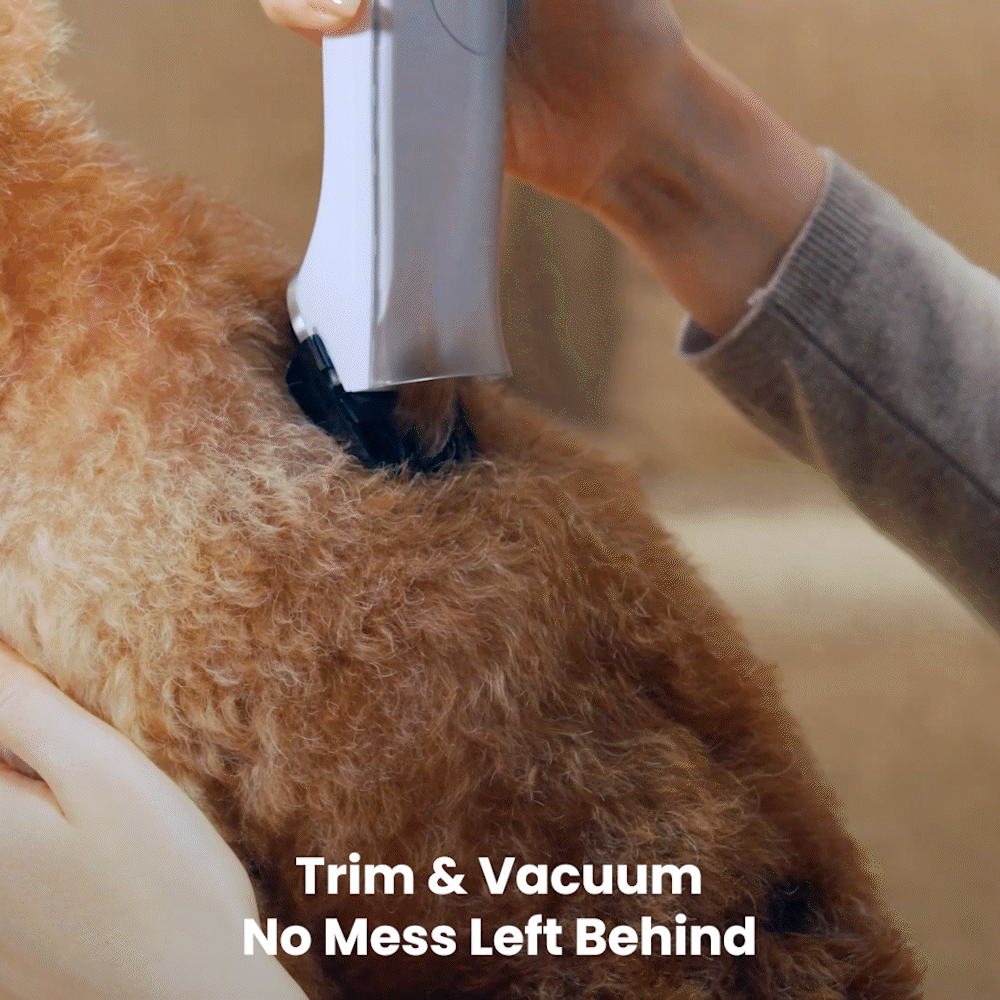 Oneisall Cozy C1/BM1 Pet Grooming Vacuum & Dryer Main Clipper + USB Charger Replacement - Image 2