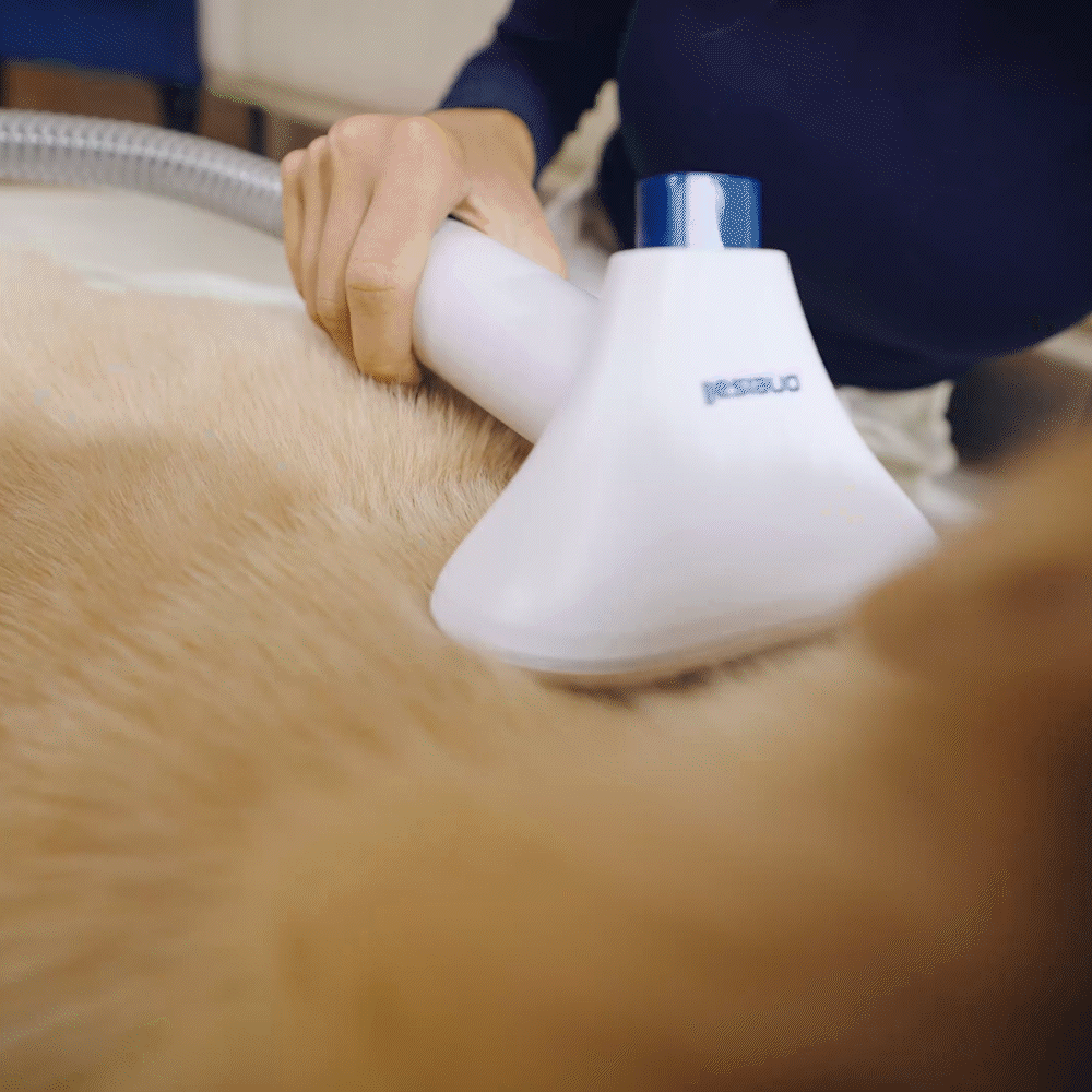 Oneisall Comfy L1 Cordless Pet Grooming Vacuum Kit - Image 2