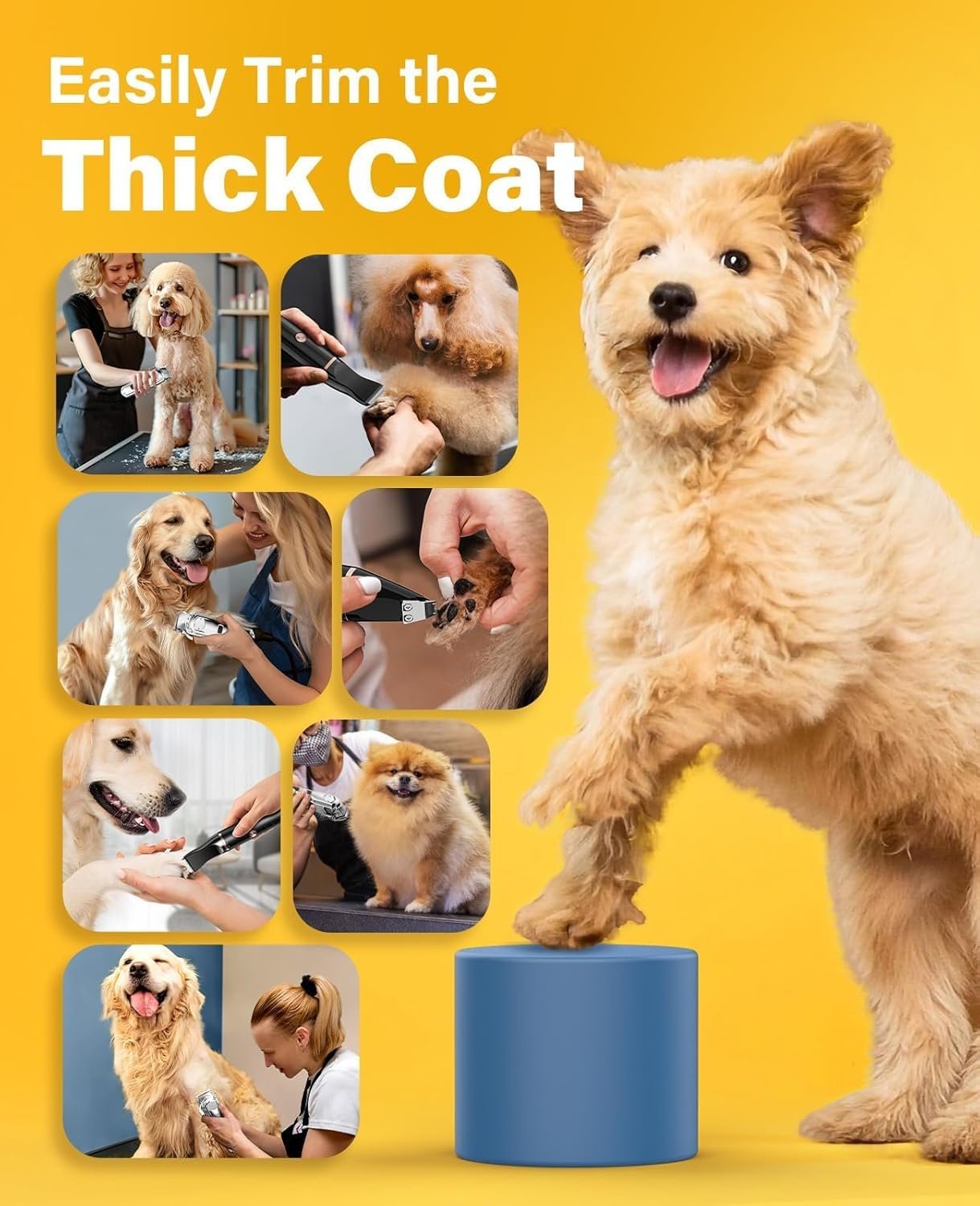 Oneisall 676+P20 Dog Clipper and Paw Trimmer 3-in-1 Set - Image 9