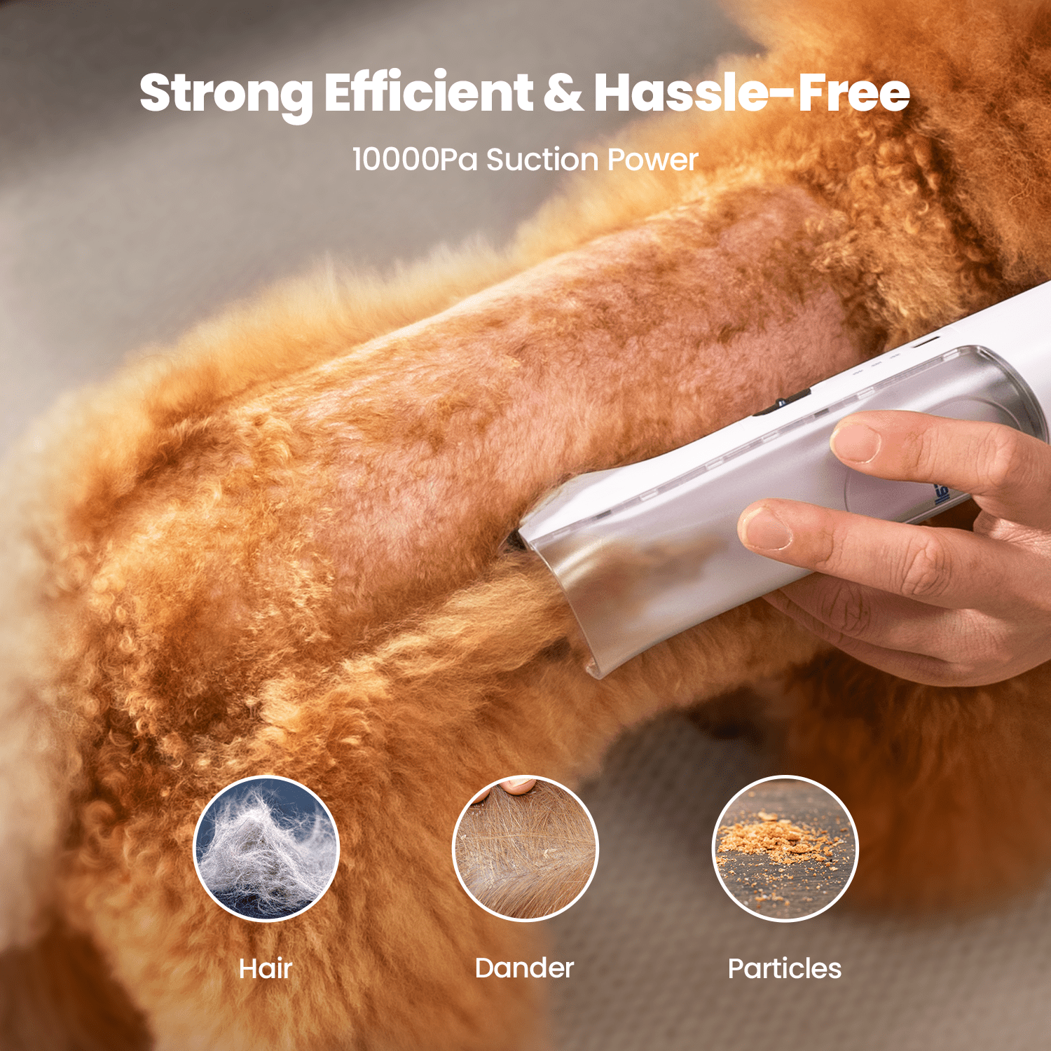 Oneisall Comfy L1 Cordless Pet Grooming Vacuum Kit - Image 5