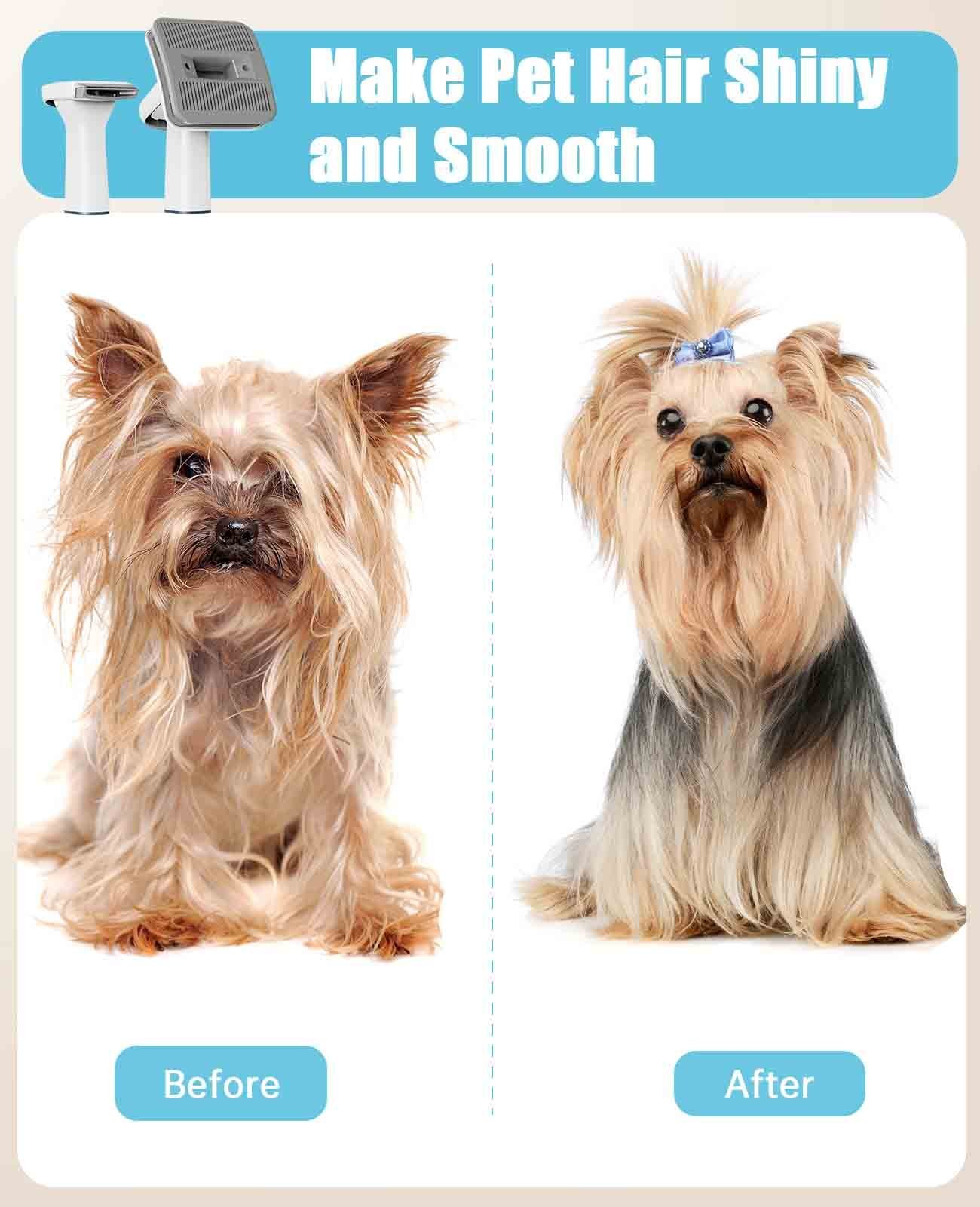 Oneisall LM2/LM5 Pet Grooming Vacuum 4Pcs Accessories Replacement - Image 7