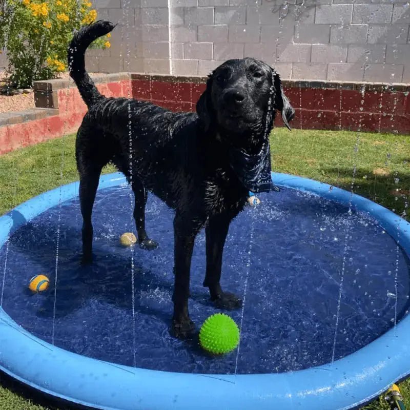 Splash and Groom Bundle - Image 10